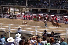 Calgary Stampede-1449